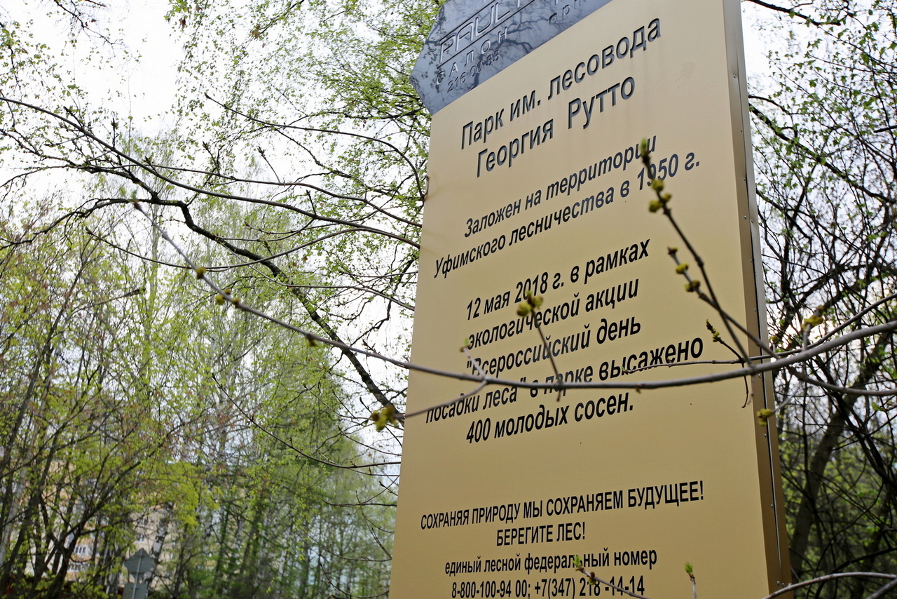 Дендропарковое благоустройство 