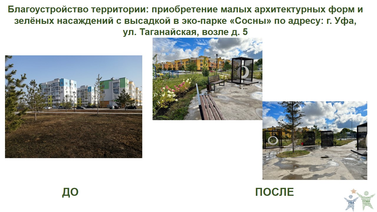 2022 Сосны МАФы