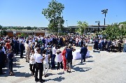 11 AZA_9047.jpg