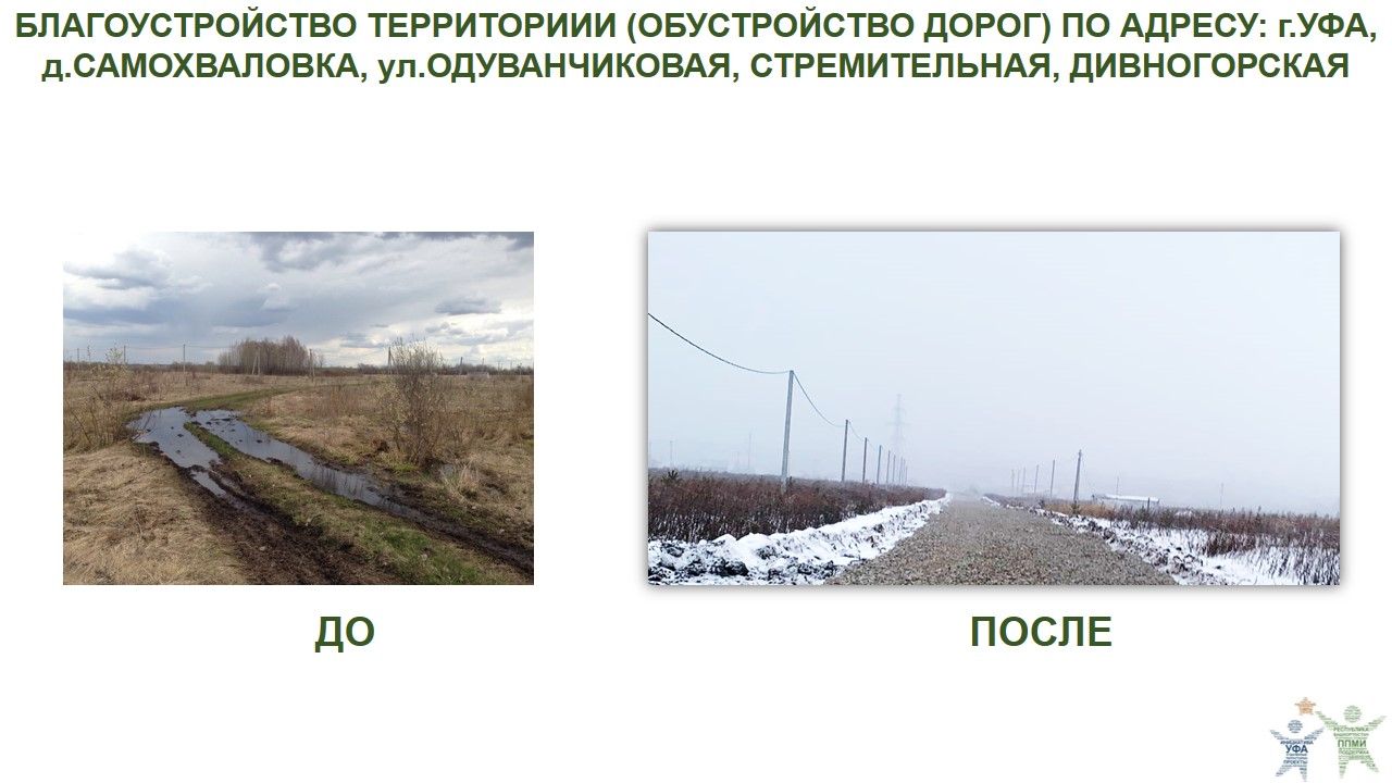 2022 самохваловка,одуванчиковая.JPG