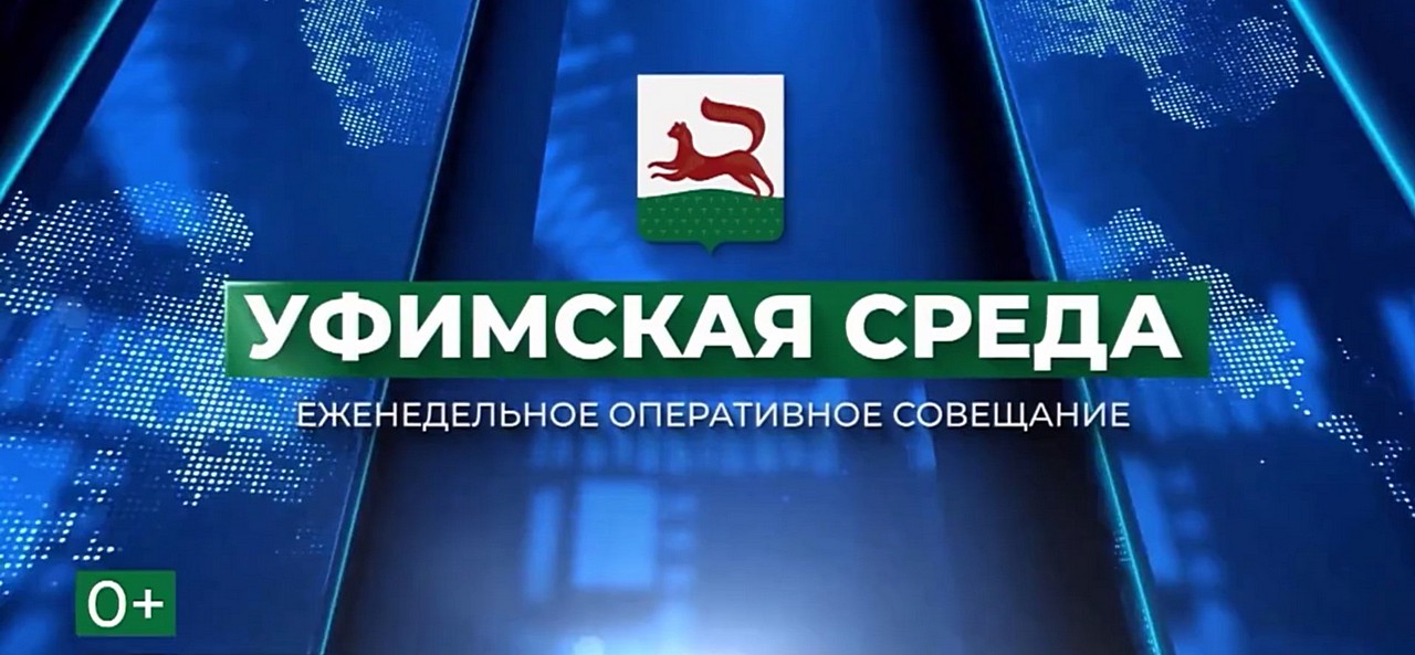 Уфимская среда