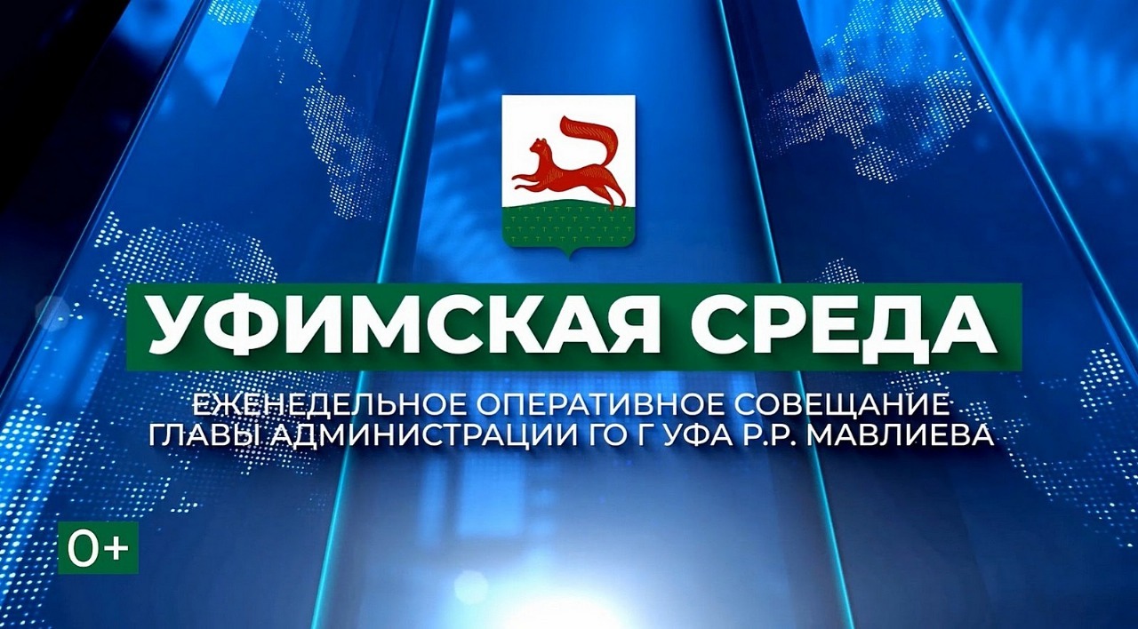 Уфимская среда