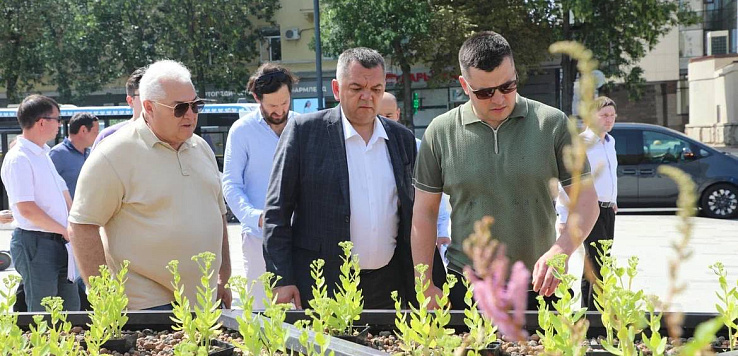 Ратмир Мавлиев: «Необычные решения»
